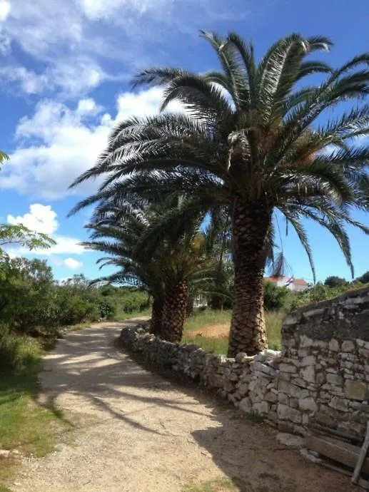 House Sakarun Villa Veli Rat Croatia